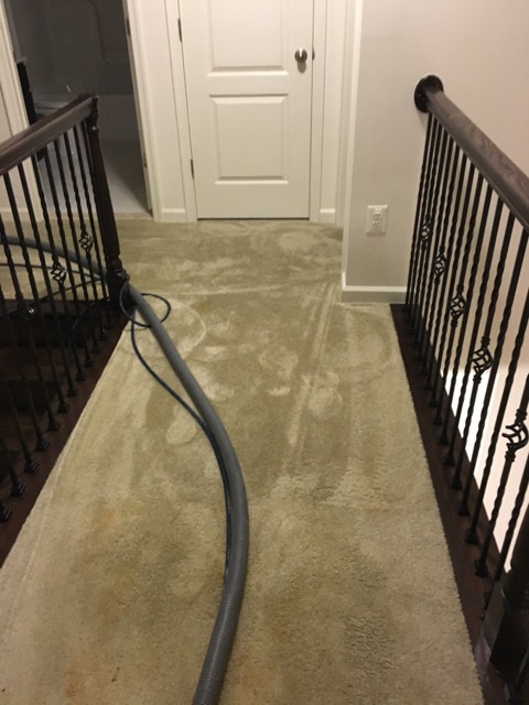 ADC Carpet Cleaning of Martinsburg, WV