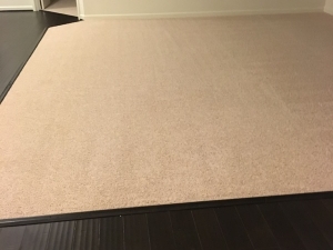 ADC Carpet Cleaning of Martinsburg, WV